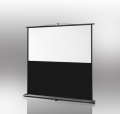 Bild 1 von celexon Leinwand Ultramobil Professional 200 x 125 cm